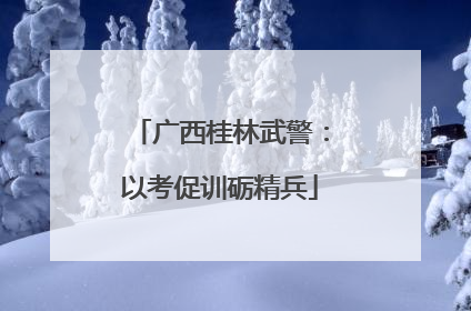 广西桂林武警：以考促训砺精兵